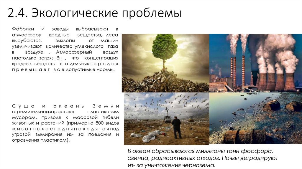 2.4. Экологические проблемы