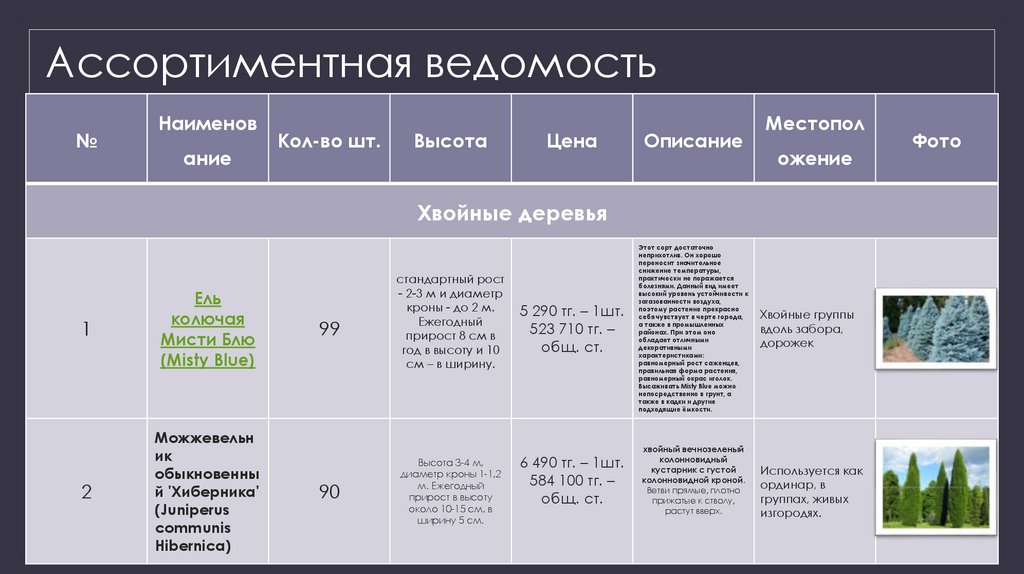 Ассортиментная ведомость