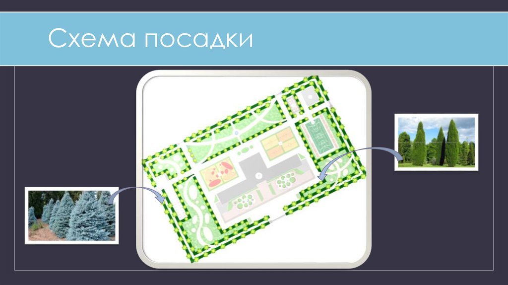 Схема посадки