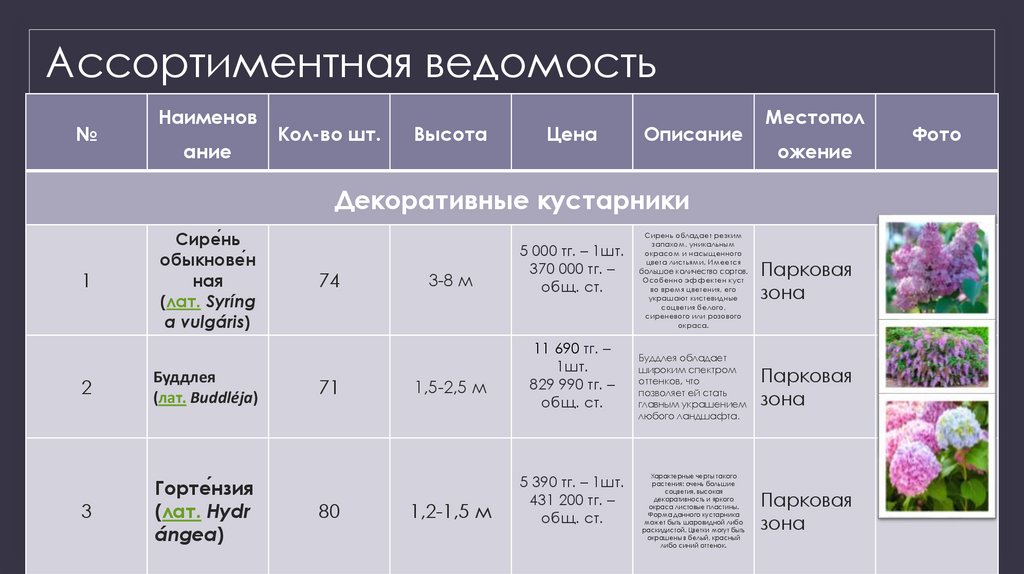 Ассортиментная ведомость