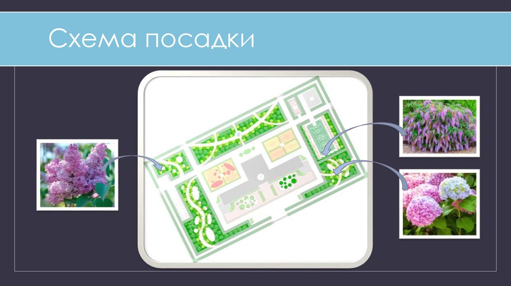 Схема посадки