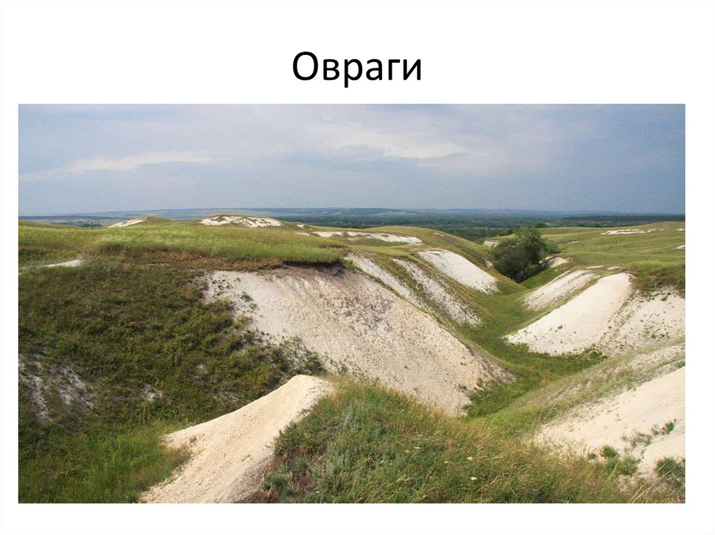 Овраги