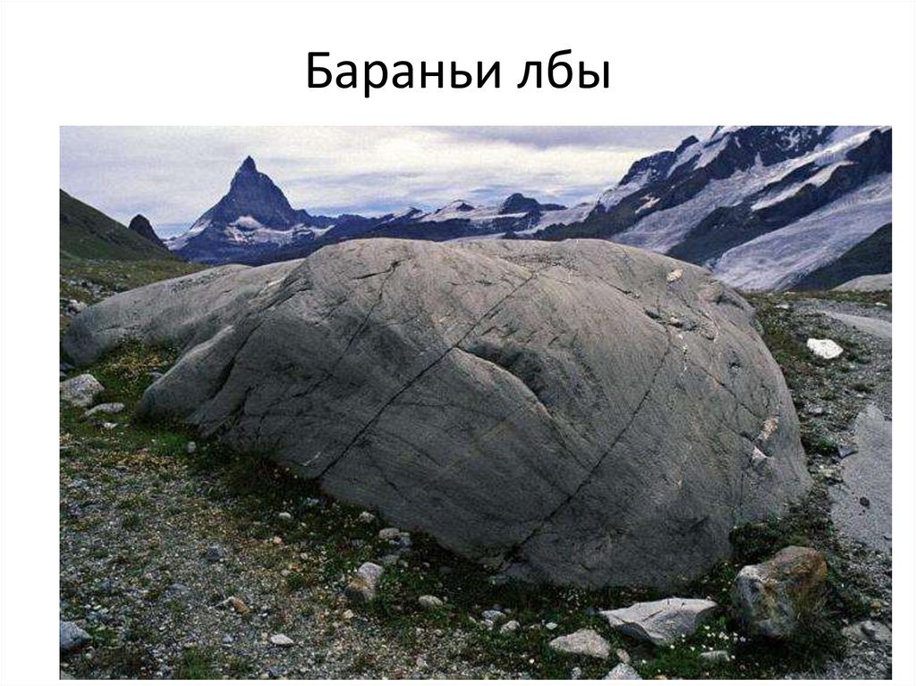 Бараньи лбы