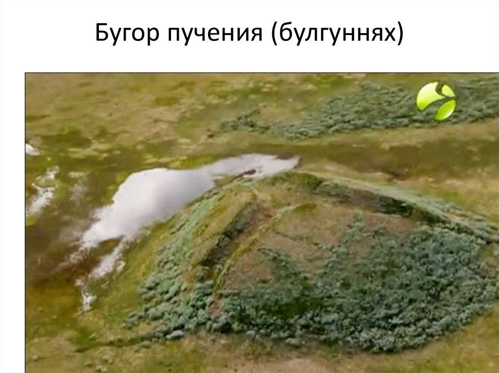 Бугор пучения (булгуннях)