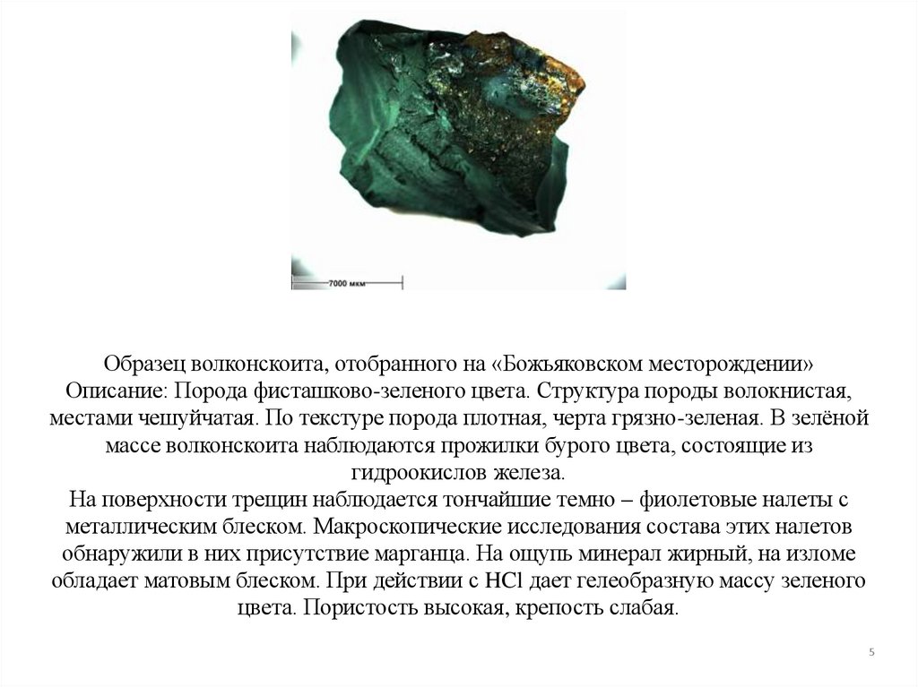 Образец волконскоита, отобранного на «Божьяковском месторождении» Описание: Порода фисташково-зеленого цвета. Структура породы