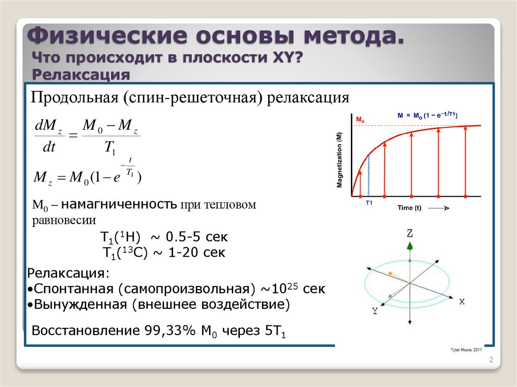Физические основы метода. Что происходит в плоскости XY? Релаксация