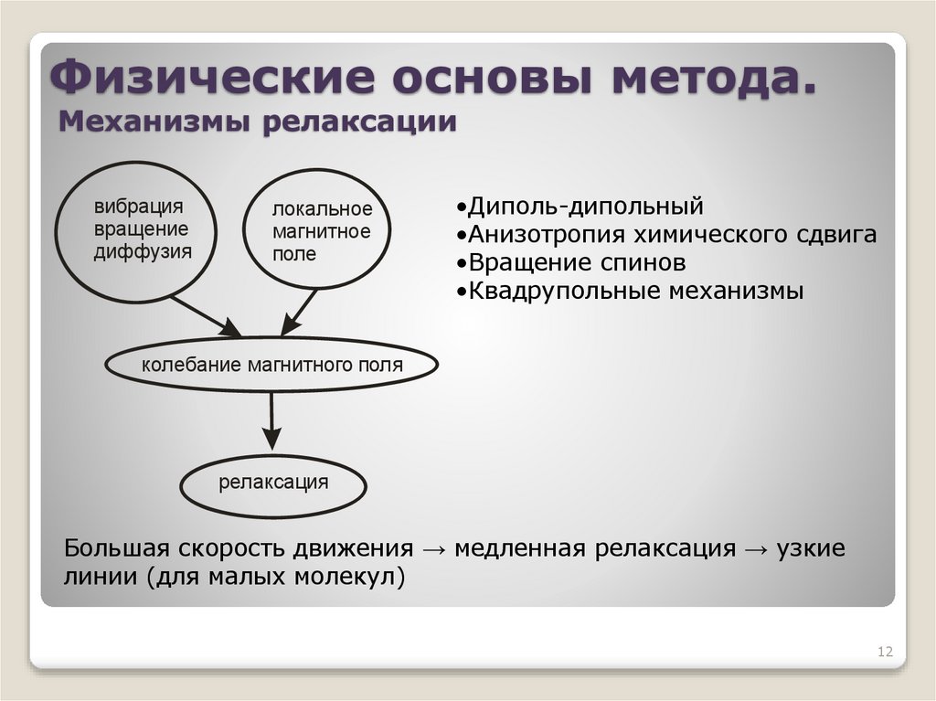 Физические основы метода. Механизмы релаксации