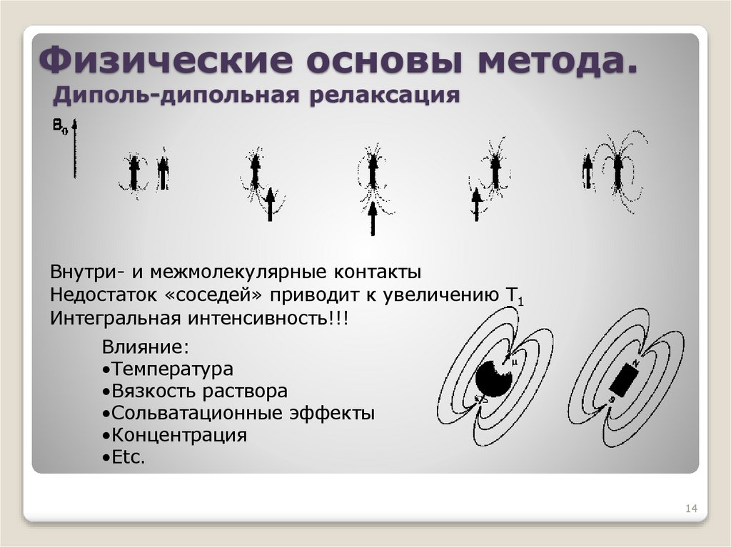 Физические основы метода. Диполь-дипольная релаксация