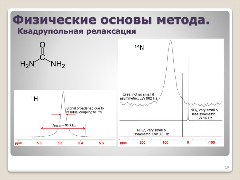 Физические основы метода. Квадрупольная релаксация