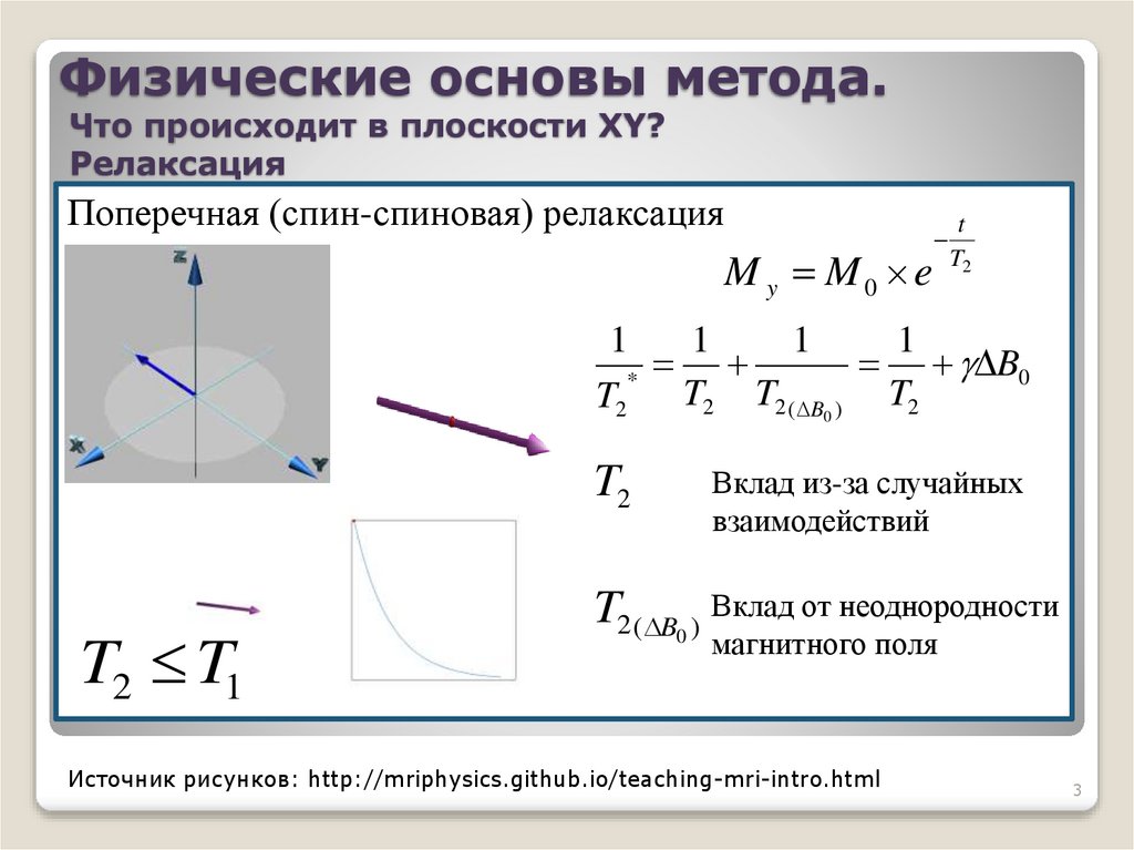 Физические основы метода. Что происходит в плоскости XY? Релаксация