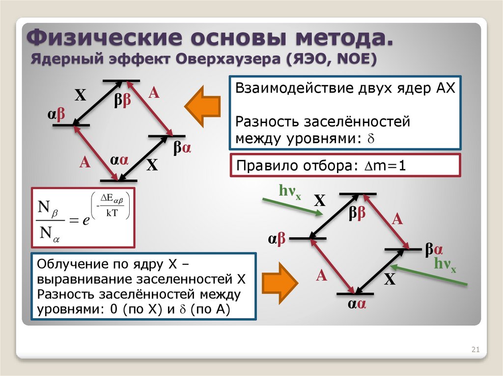 Физические основы метода. Ядерный эффект Оверхаузера (ЯЭО, NOE)
