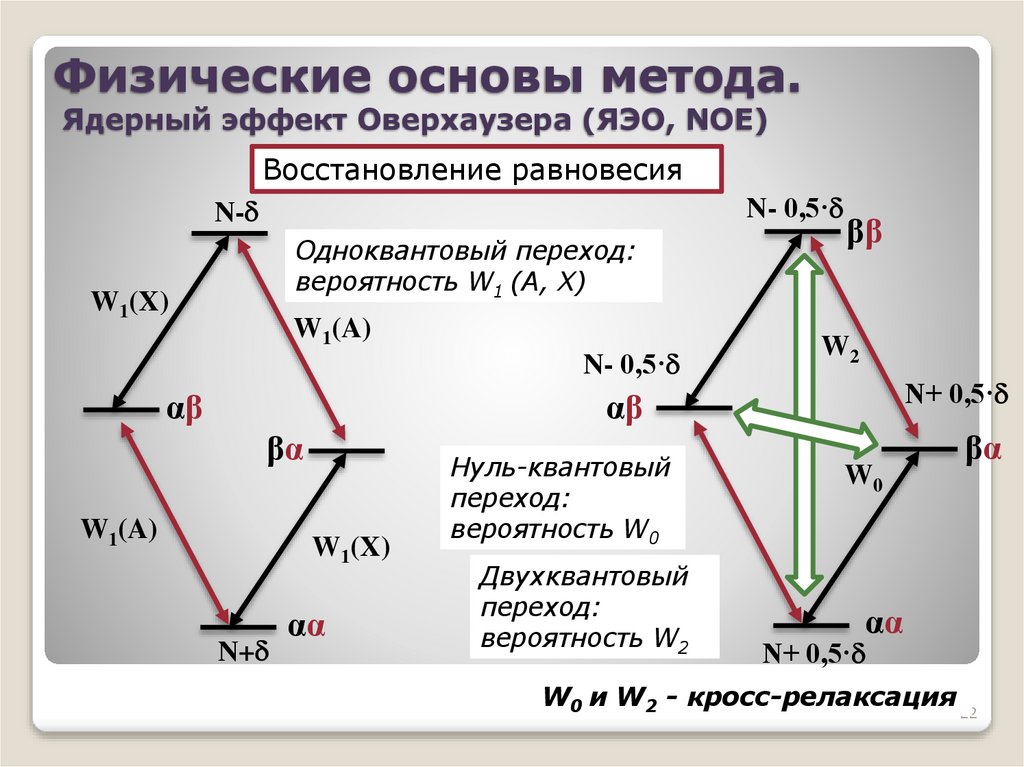 Физические основы метода. Ядерный эффект Оверхаузера (ЯЭО, NOE)