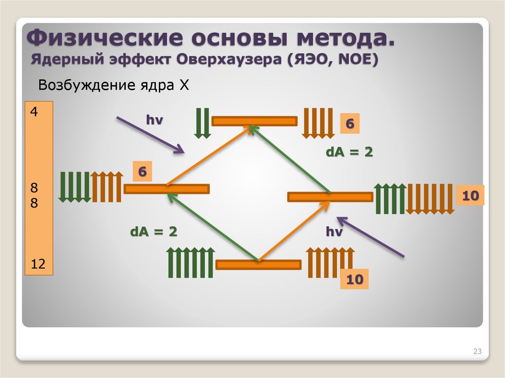 Физические основы метода. Ядерный эффект Оверхаузера (ЯЭО, NOE)