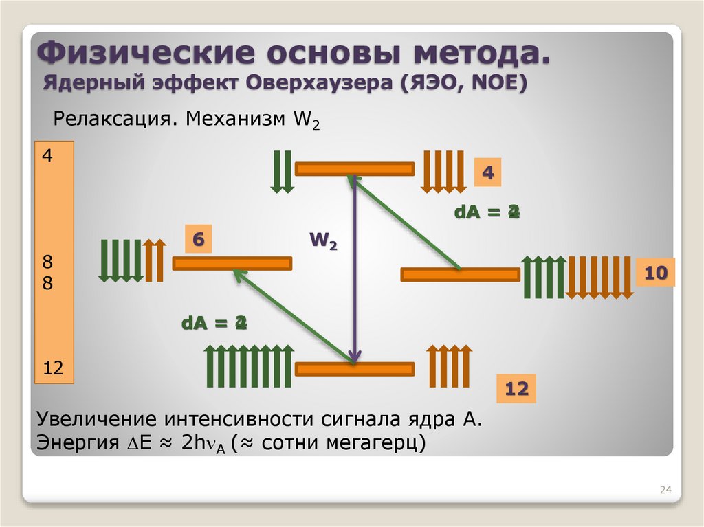 Физические основы метода. Ядерный эффект Оверхаузера (ЯЭО, NOE)