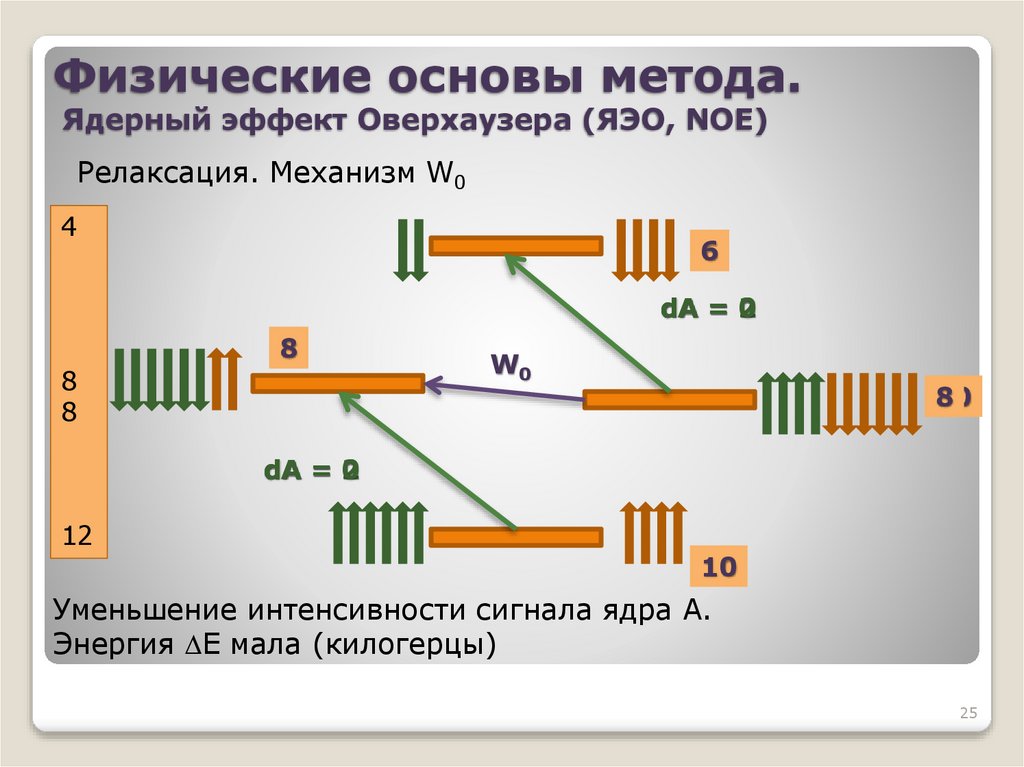 Физические основы метода. Ядерный эффект Оверхаузера (ЯЭО, NOE)