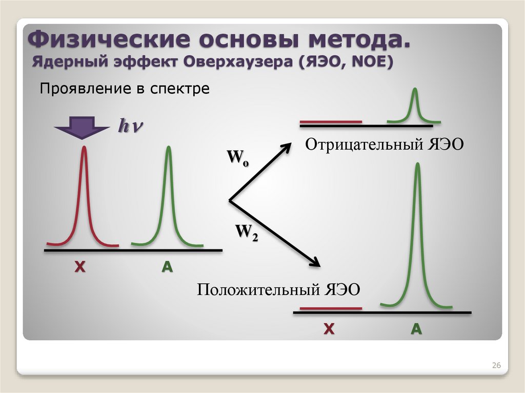 Физические основы метода. Ядерный эффект Оверхаузера (ЯЭО, NOE)