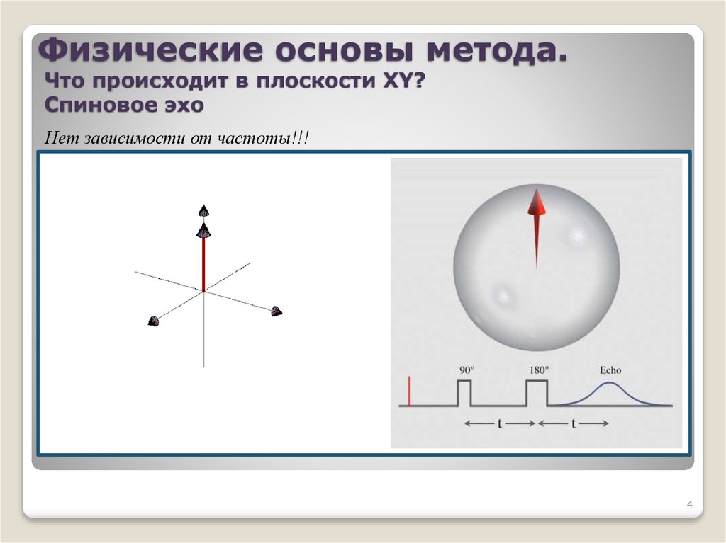 Физические основы метода. Что происходит в плоскости XY? Спиновое эхо