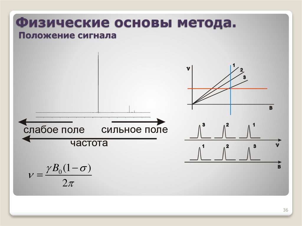 Физические основы метода. Положение сигнала