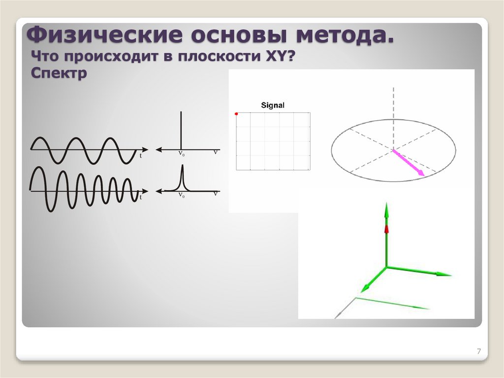 Физические основы метода. Что происходит в плоскости XY? Спектр