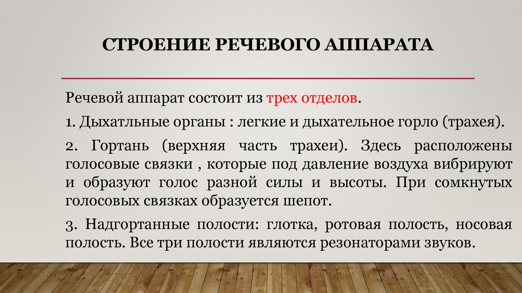 Строение речевого аппарата