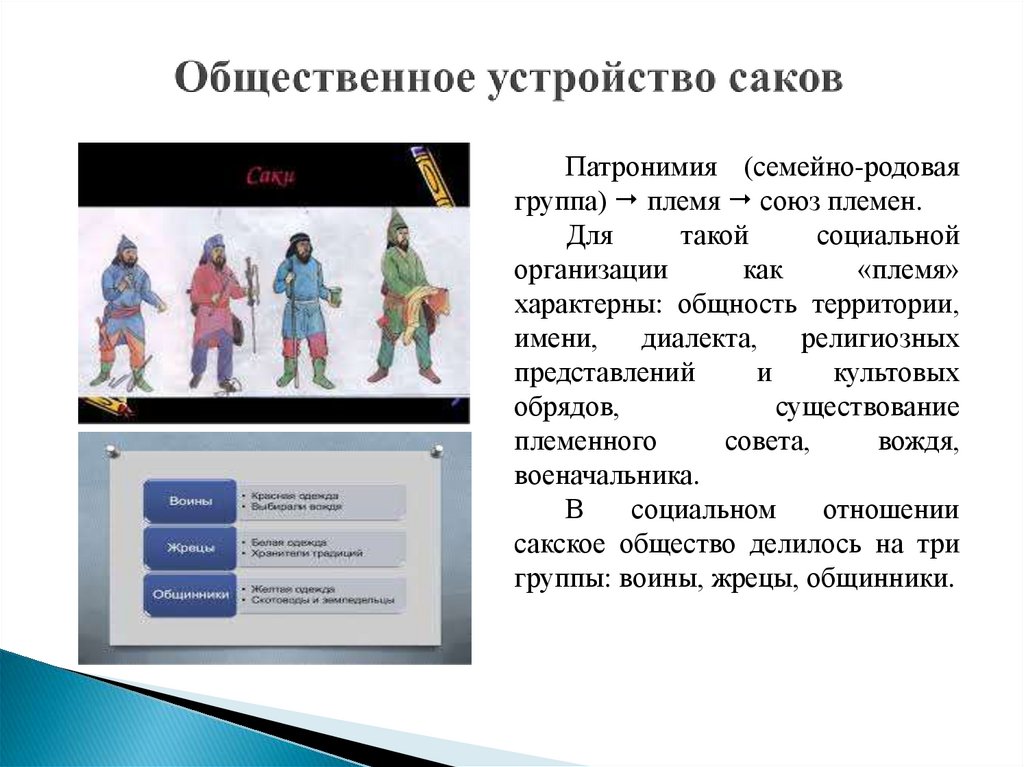 Общественное устройство саков
