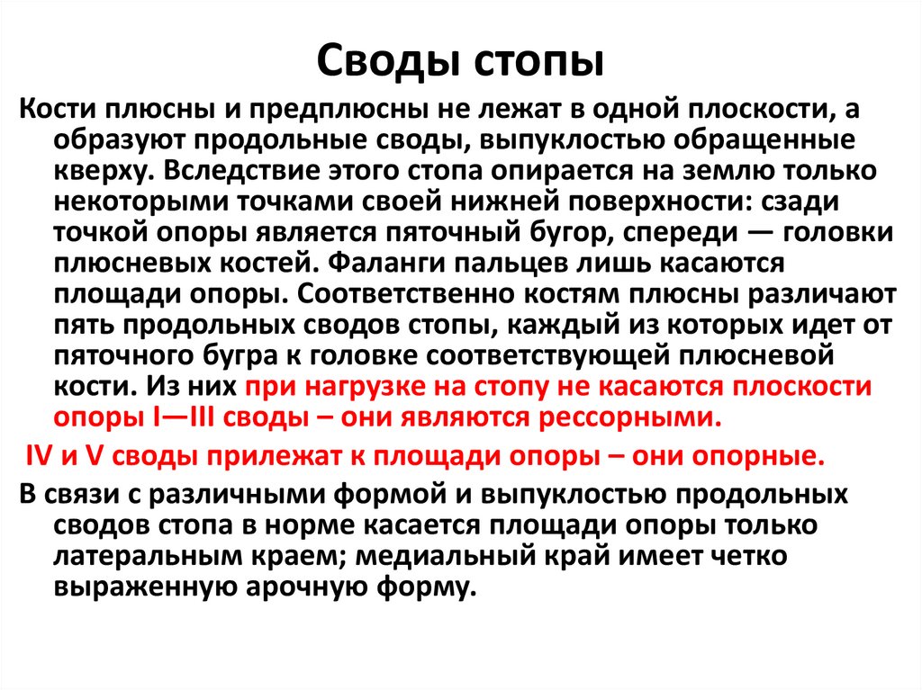 Своды стопы