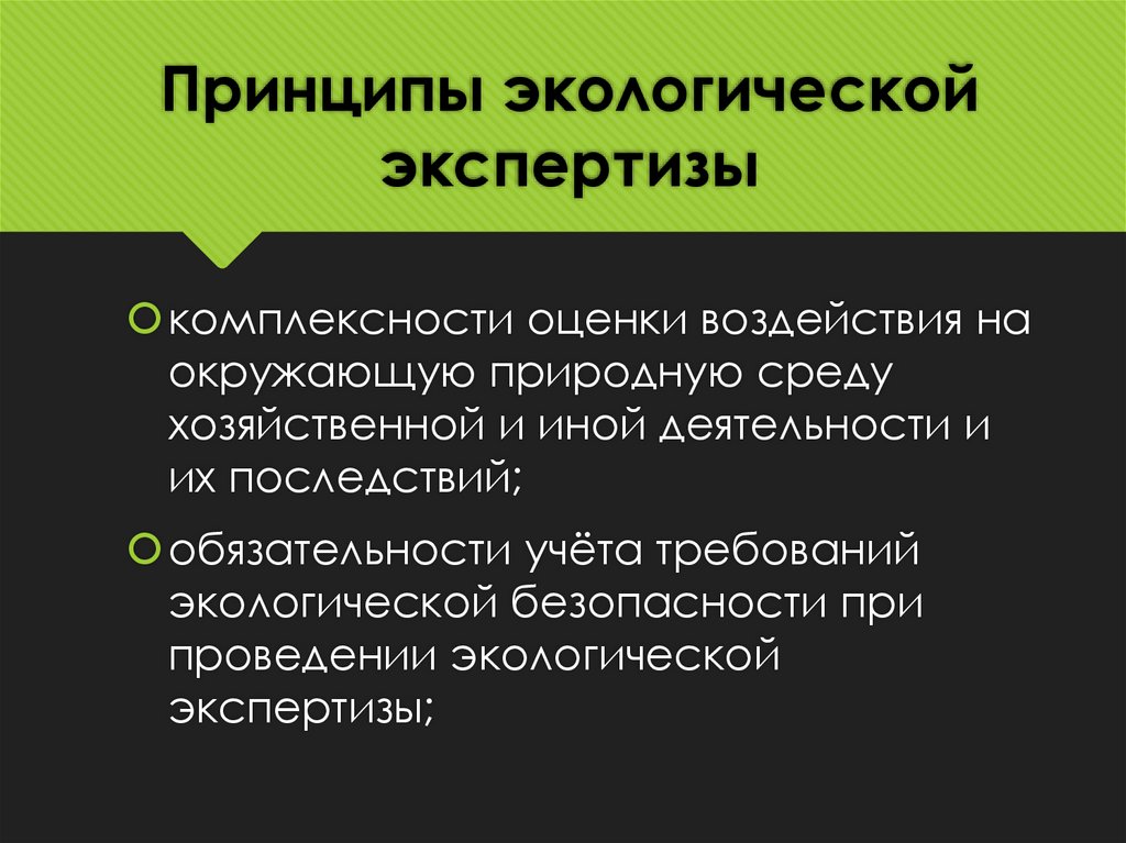 Принципы экологической экспертизы