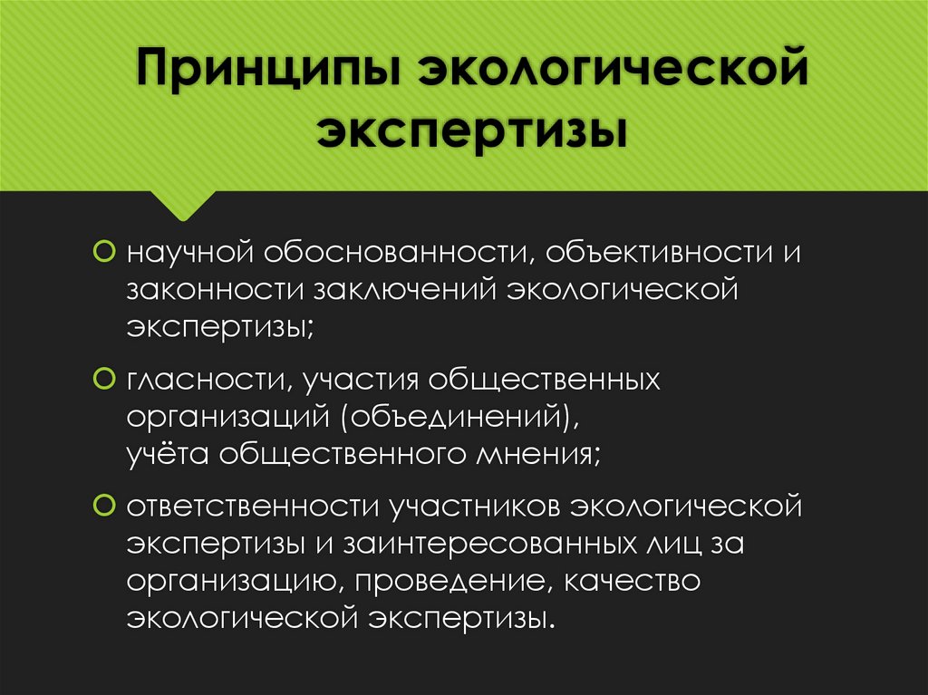 Принципы экологической экспертизы