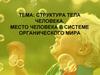 Структура тела человека. Место человека в системе органического мира. Строение тела человека