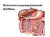 Патология пищеварительной системы