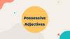 Possessive Adjectives