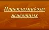Пироплазмидозы животных