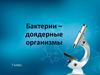 Бактерии - доядерные организмы