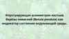 Флуктуирующая асимметрия листьев берёзы повислой (Betula pendula) как индикатор состояния окружающей среды
