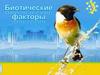 Биотические факторы