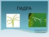 ГИДРА (Соснина Е. 3-7В)