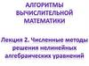 Численные методы решения нелинейных алгебраических уравнений. Лекция 2
