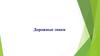 Дорожные знаки. Группы дорожных знаков
