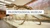 Paleontological museum