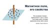 Магнитное поле, его свойства