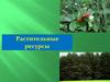 Растительные ресурсы