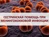 Сестринская помощь при менингококковой инфекции