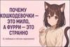 Презентация_Кошкодевочки_Финал_2025_обновлено_1