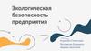 Экологическая безопасность предприятия