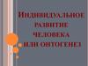 Индивидуальное развитие человека или онтогенез