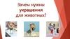 Зачем нужны украшения для животных?