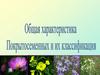 Общая характеристика  Покрытосеменных  и их классификация