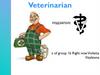 Profession - veterinarian