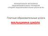 Платные образовательные услуги. Малышкина школа