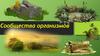 Сообщества организмов